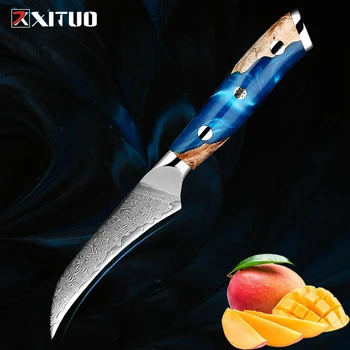 XITUO Japonais Couteau d'office Pointu en Acier Damas de Cuisine couteau à fruits poignée Ergonomique Aigle-lame courbe Couper les Fruits Légumes